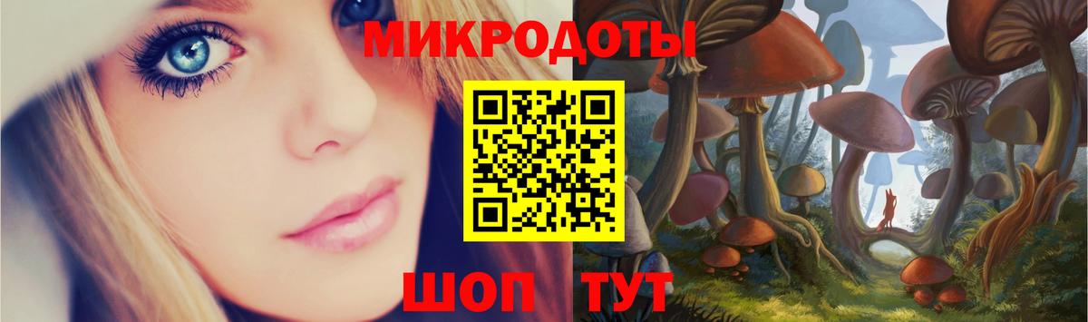 Ефремов  закладка  Вход с VPN  Галлюциногенные грибы мухоморы  Галлюциногенные грибы GOLDEN TEACHER 
